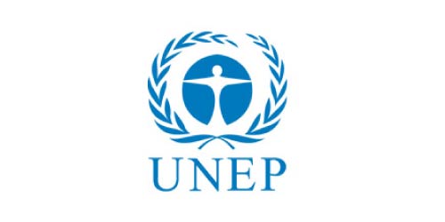 UNEP in partnership with women and transport africa conference